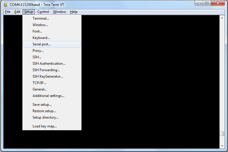 tera_term_serial_port.png